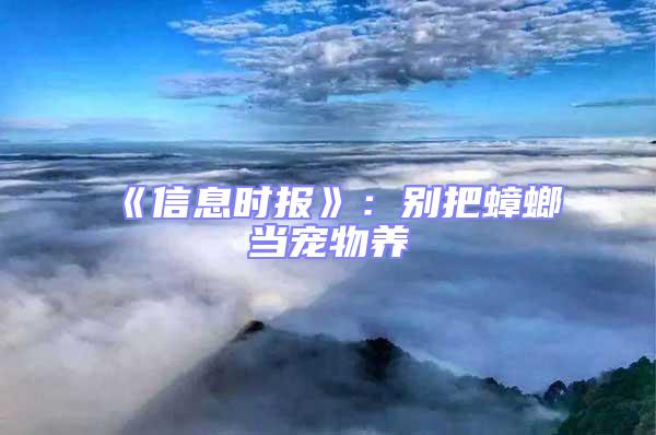 《信息時報》：別把蟑螂當寵物養(yǎng)