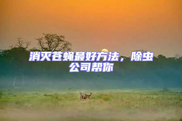 消滅蒼蠅最好方法,除蟲公司幫你