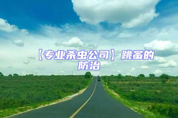 【專業殺蟲公司】跳蚤的防治