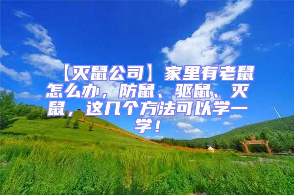 【滅鼠公司】家里有老鼠怎么辦,防鼠、驅(qū)鼠、滅鼠,這幾個(gè)方法可以學(xué)一學(xué)!