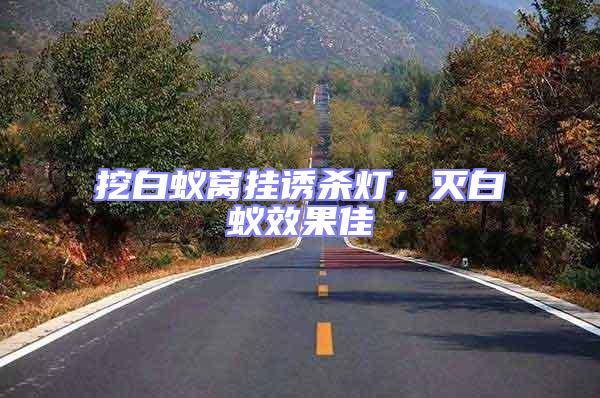 挖白蟻窩掛誘殺燈，滅白蟻效果佳