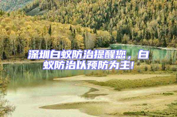 深圳白蟻防治提醒您，白蟻防治以預防為主!