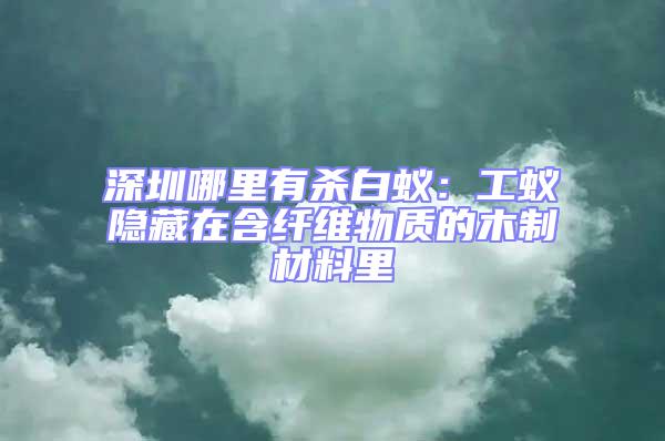 深圳哪里有殺白蟻:工蟻隱藏在含纖維物質的木制材料里