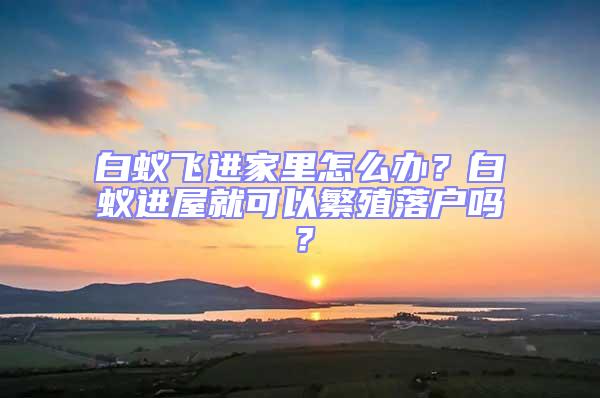 白蟻飛進家里怎么辦?白蟻進屋就可以繁殖落戶嗎?