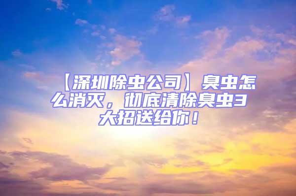 【深圳除蟲公司】臭蟲怎么消滅,徹底清除臭蟲3大招送給你!