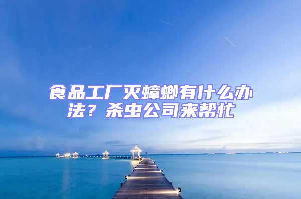 食品工廠滅蟑螂有什么辦法?殺蟲(chóng)公司來(lái)幫忙