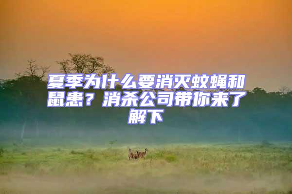 夏季為什么要消滅蚊蠅和鼠患？消殺公司帶你來了解下