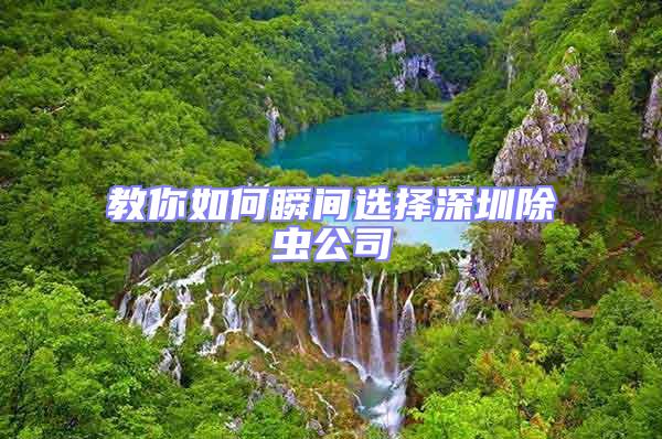 教你如何瞬間選擇深圳除蟲(chóng)公司