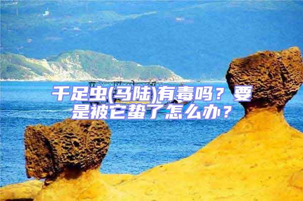 千足蟲(chóng)(馬陸)有毒嗎?要是被它蟄了怎么辦?