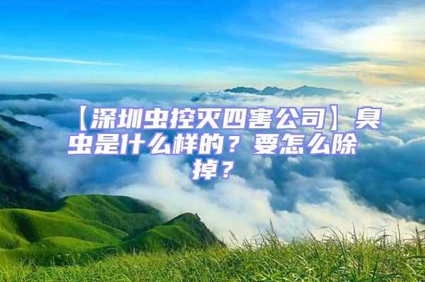 【深圳蟲控滅四害公司】臭蟲是什么樣的？要怎么除掉？