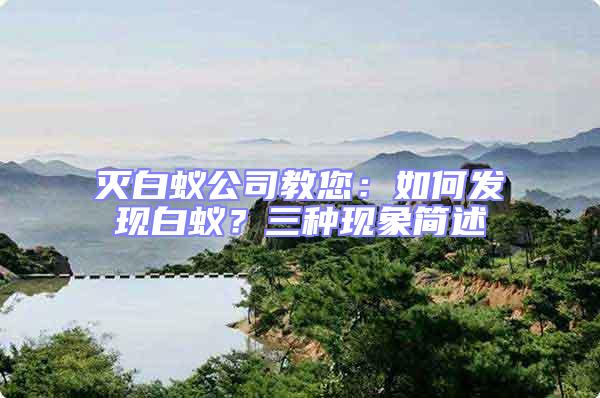 滅白蟻公司教您:如何發現白蟻?三種現象簡述