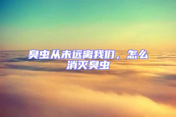 臭蟲從未遠(yuǎn)離我們,怎么消滅臭蟲