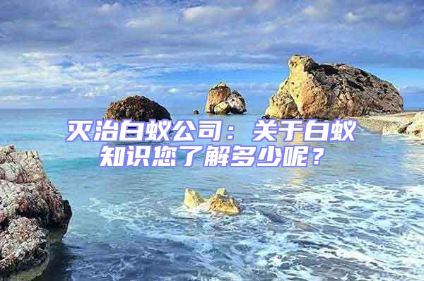 滅治白蟻公司:關于白蟻知識您了解多少呢?