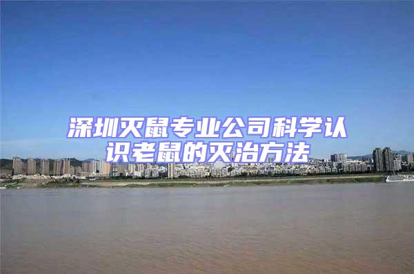 深圳滅鼠專業(yè)公司科學認識老鼠的滅治方法