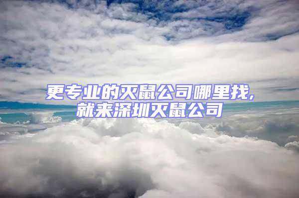 更專業(yè)的滅鼠公司哪里找,就來深圳滅鼠公司