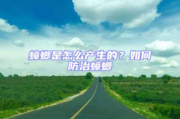 蟑螂是怎么產生的？如何防治蟑螂