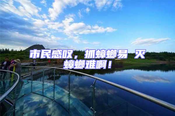 市民感嘆，抓蟑螂易 滅蟑螂難??！