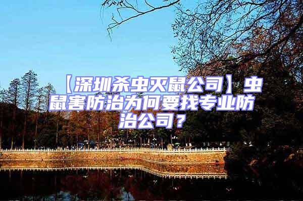 【深圳殺蟲滅鼠公司】蟲鼠害防治為何要找專業(yè)防治公司?