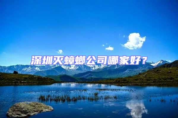 深圳滅蟑螂公司哪家好？