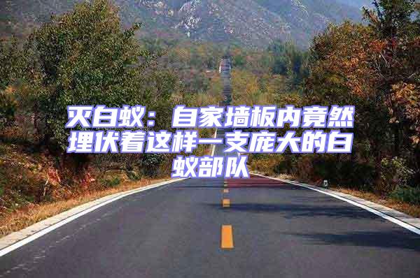 滅白蟻:自家墻板內(nèi)竟然埋伏著這樣一支龐大的白蟻部隊(duì)