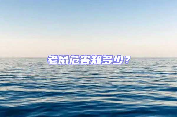 老鼠危害知多少?