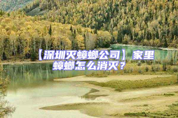 【深圳滅蟑螂公司】家里蟑螂怎么消滅？