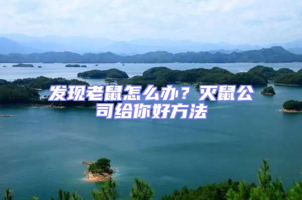 發現老鼠怎么辦?滅鼠公司給你好方法