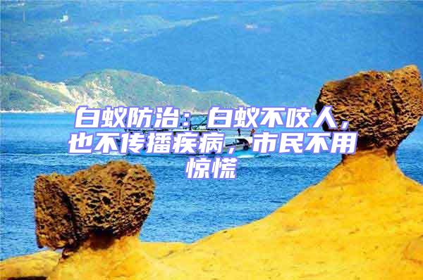 白蟻防治:白蟻不咬人,也不傳播疾病,市民不用驚慌