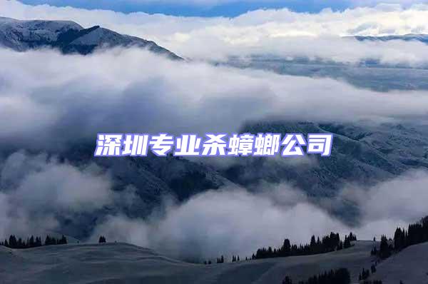 深圳專(zhuān)業(yè)殺蟑螂公司