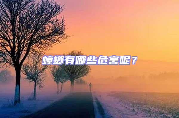 蟑螂有哪些危害呢？