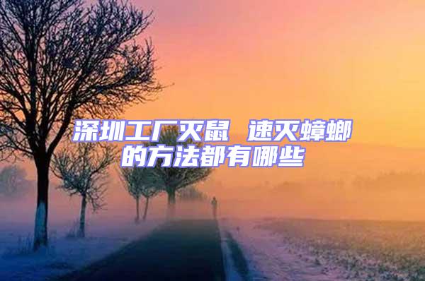 深圳工廠滅鼠 速滅蟑螂的方法都有哪些