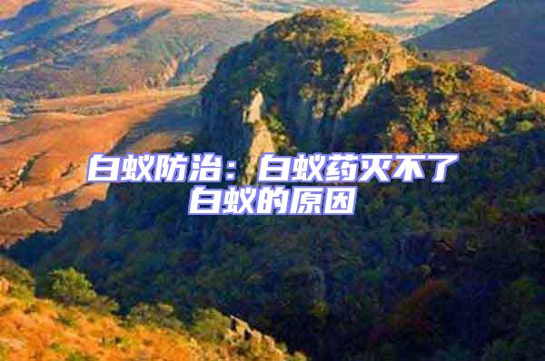 白蟻防治:白蟻藥滅不了白蟻的原因