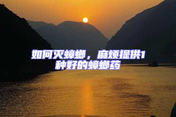 如何滅蟑螂,麻煩提供1種好的蟑螂藥