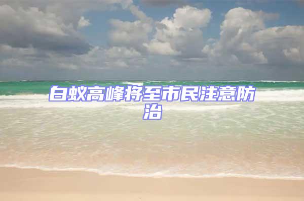 白蟻高峰將至市民注意防治