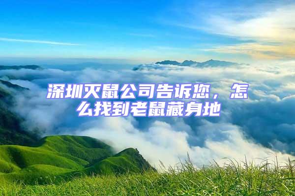 深圳滅鼠公司告訴您,怎么找到老鼠藏身地