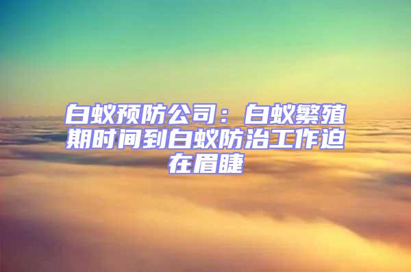 白蟻預(yù)防公司:白蟻繁殖期時(shí)間到白蟻防治工作迫在眉睫