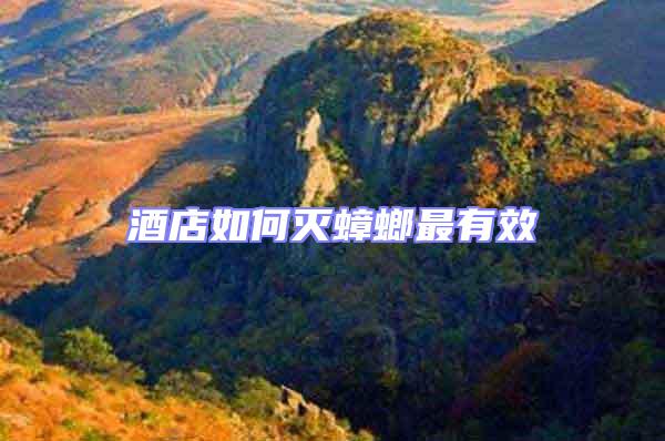 酒店如何滅蟑螂最有效