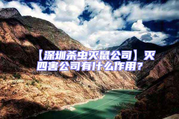 【深圳殺蟲滅鼠公司】滅四害公司有什么作用?