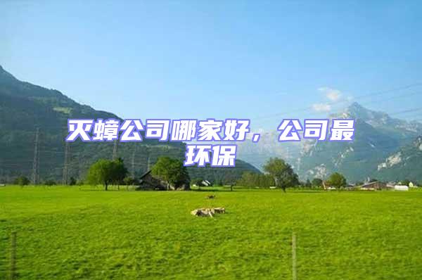 滅蟑公司哪家好,公司最環保