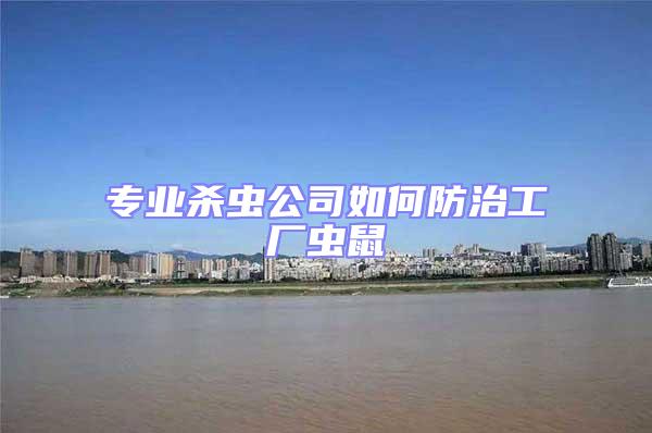 專業殺蟲公司如何防治工廠蟲鼠