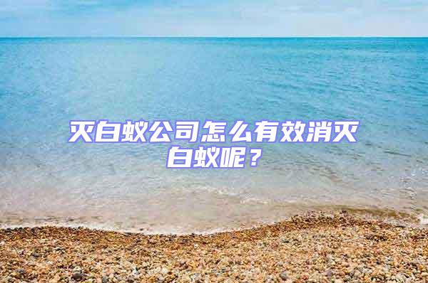 滅白蟻公司怎么有效消滅白蟻呢?