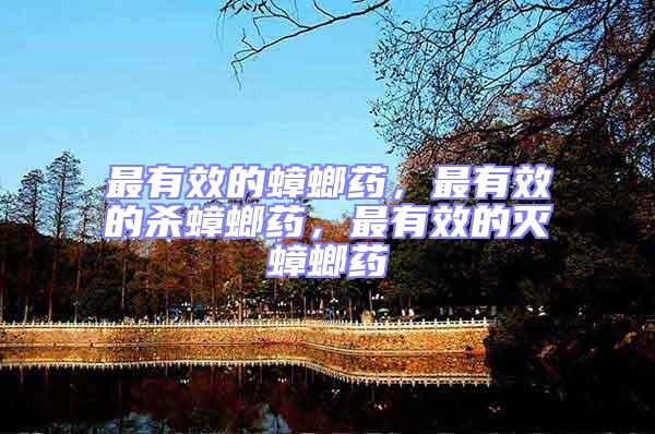 最有效的蟑螂藥,最有效的殺蟑螂藥,最有效的滅蟑螂藥