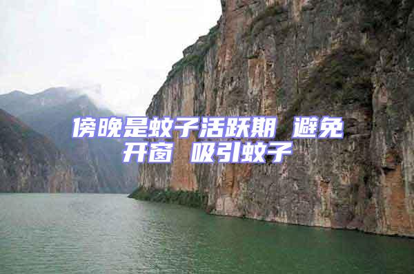 傍晚是蚊子活躍期 避免開窗 吸引蚊子