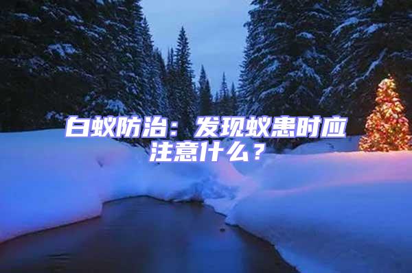 白蟻防治:發現蟻患時應注意什么?