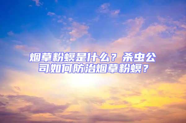 煙草粉螟是什么?殺蟲公司如何防治煙草粉螟?