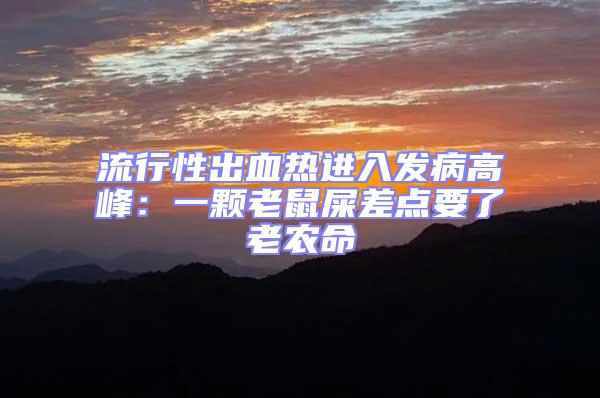 流行性出血熱進(jìn)入發(fā)病高峰:一顆老鼠屎差點(diǎn)要了老農(nóng)命