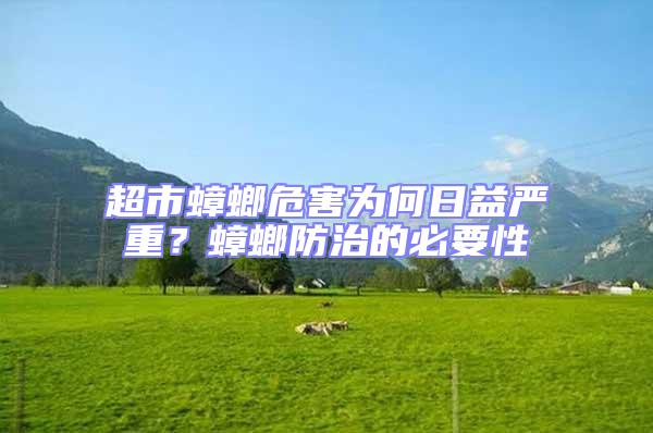 超市蟑螂危害為何日益嚴重?蟑螂防治的必要性