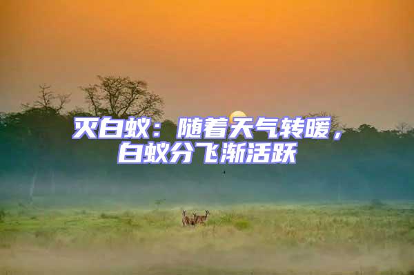 滅白蟻:隨著天氣轉(zhuǎn)暖,白蟻分飛漸活躍