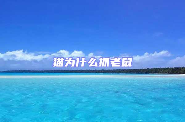 貓為什么抓老鼠