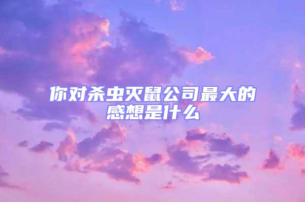 你對殺蟲滅鼠公司最大的感想是什么